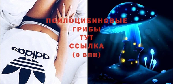не бодяженный Аркадак